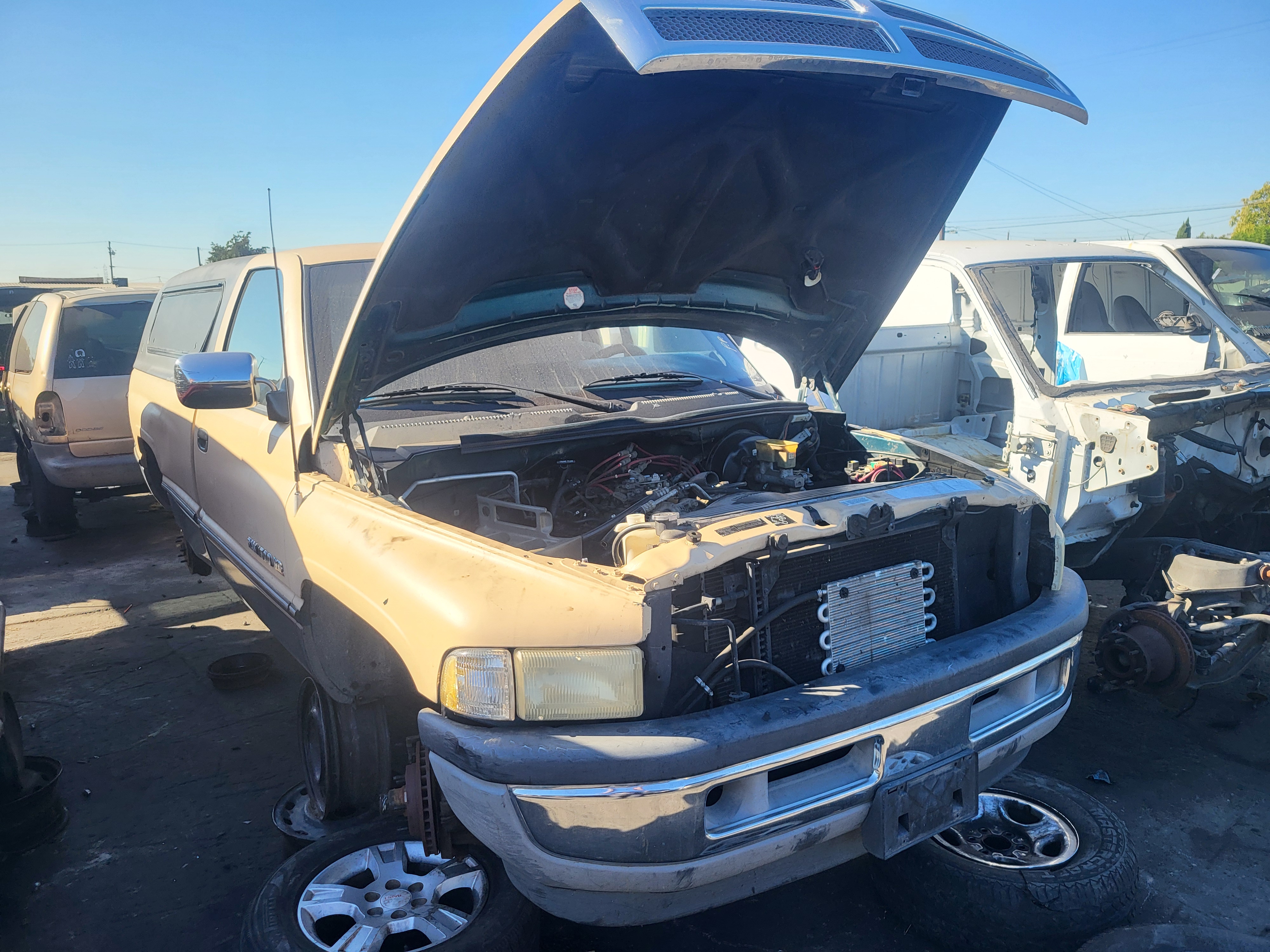 1994 DODGE Ram