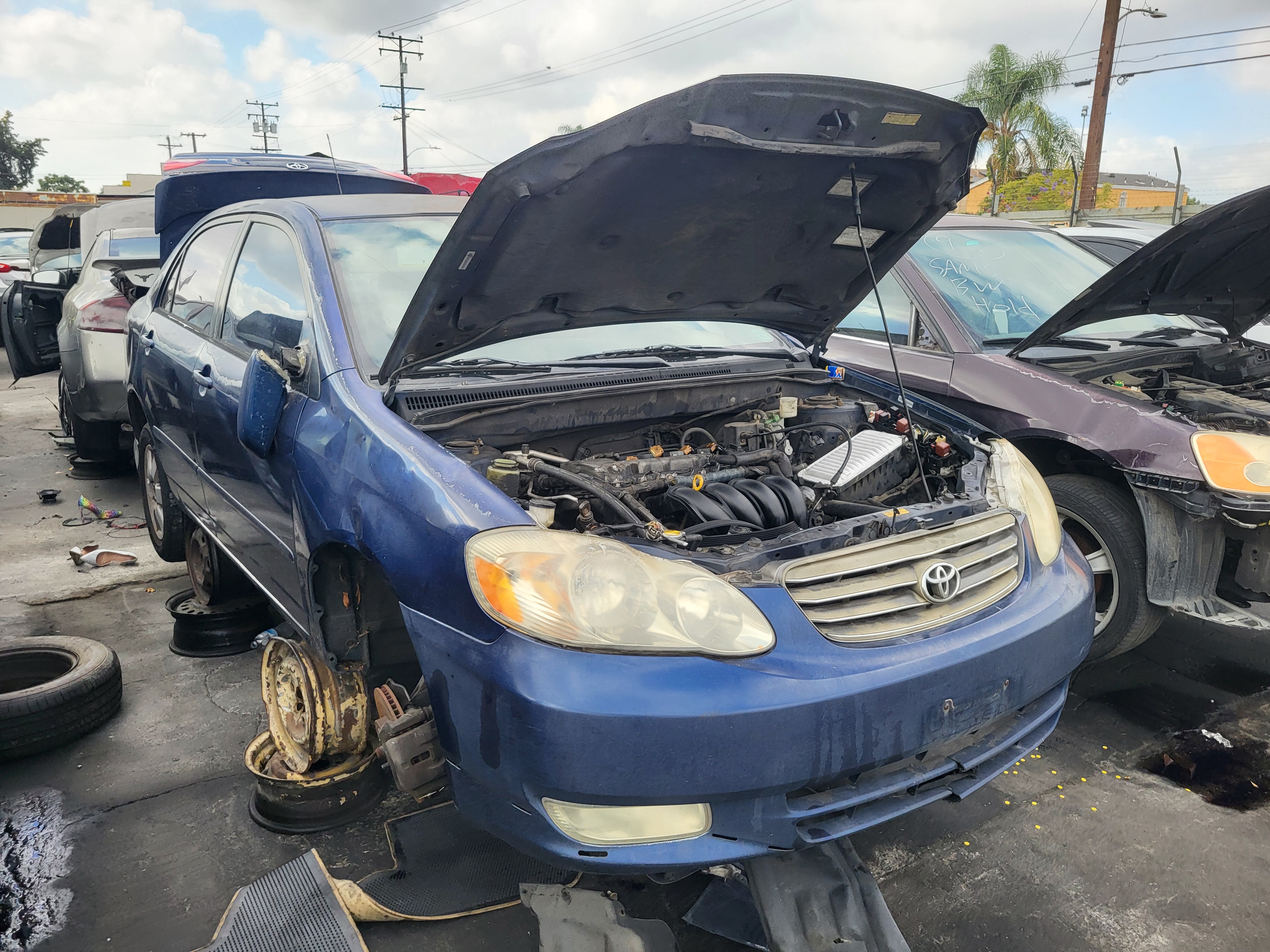 2004 TOYOTA Corolla