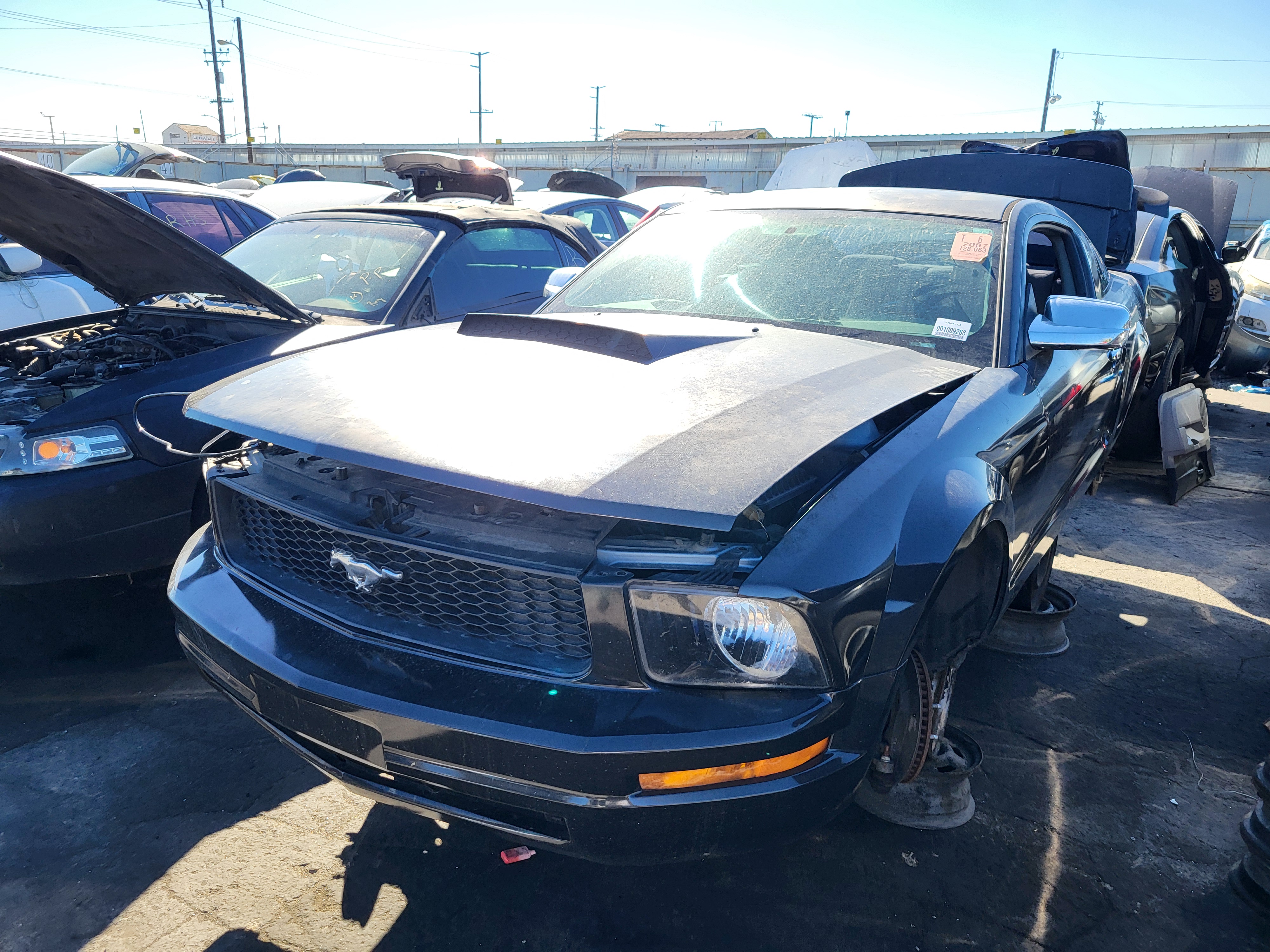 2007 FORD Mustang