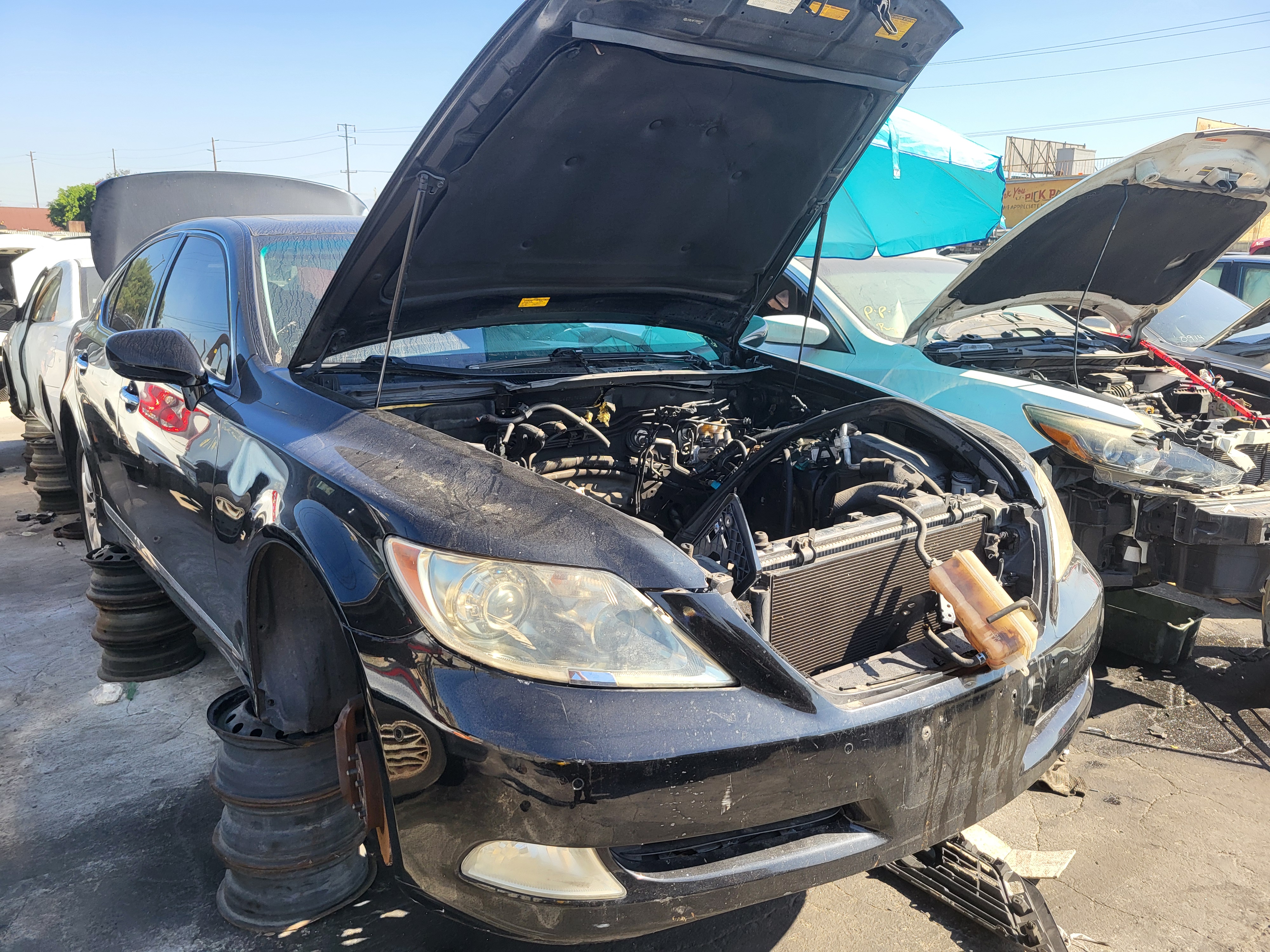 2007 LEXUS LS