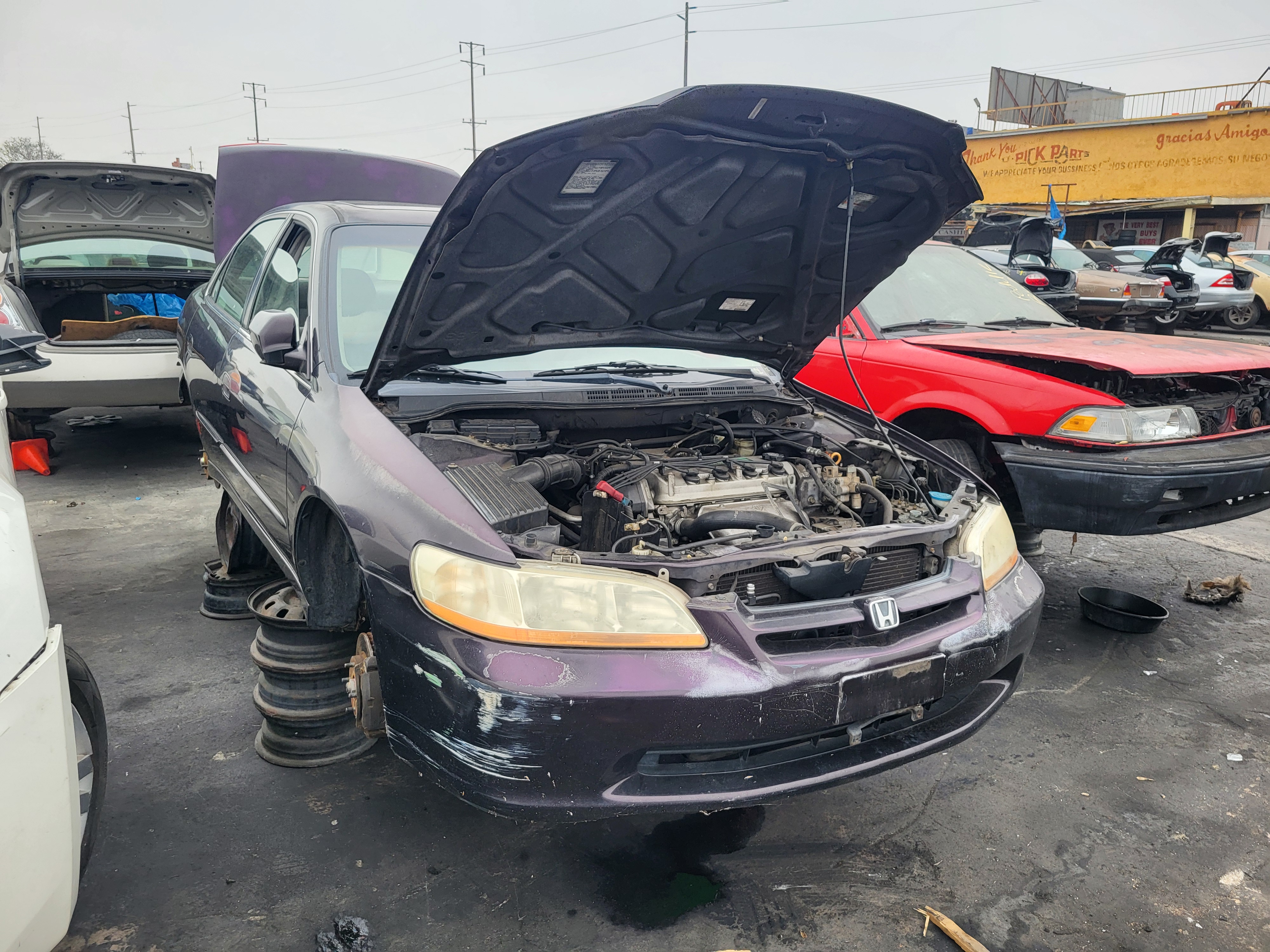 1999 HONDA Accord