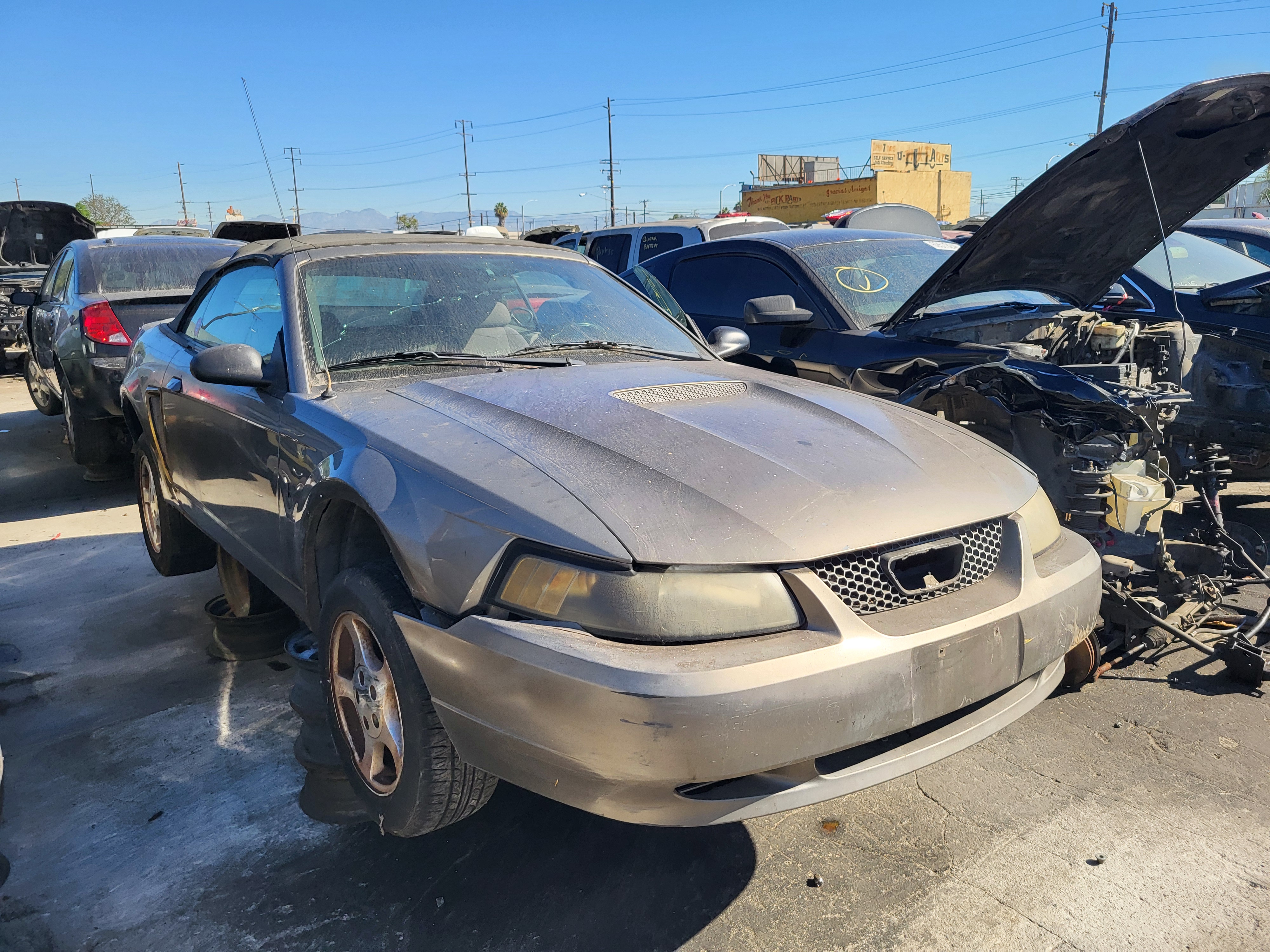 2002 FORD Mustang