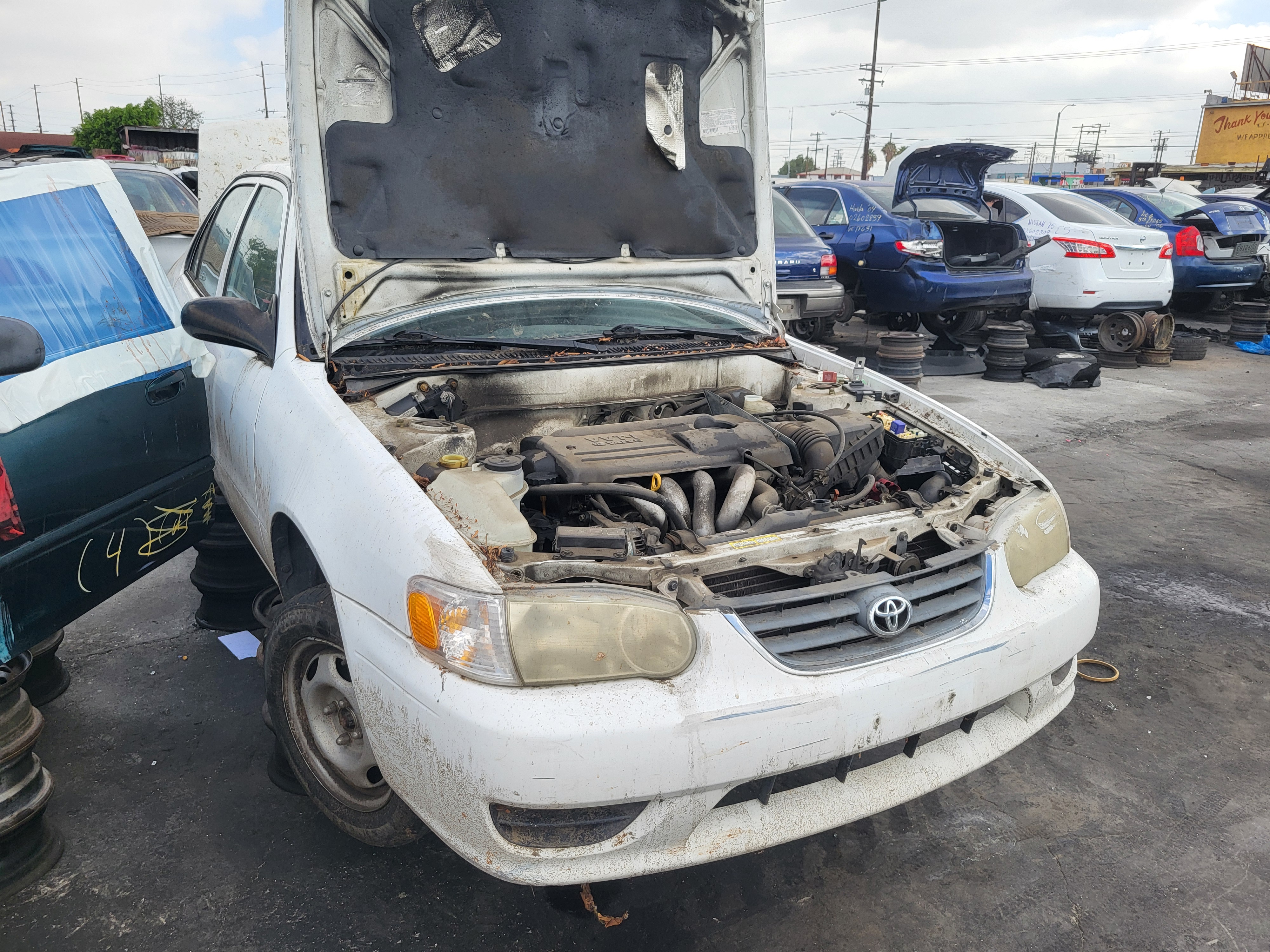 2001 TOYOTA Corolla