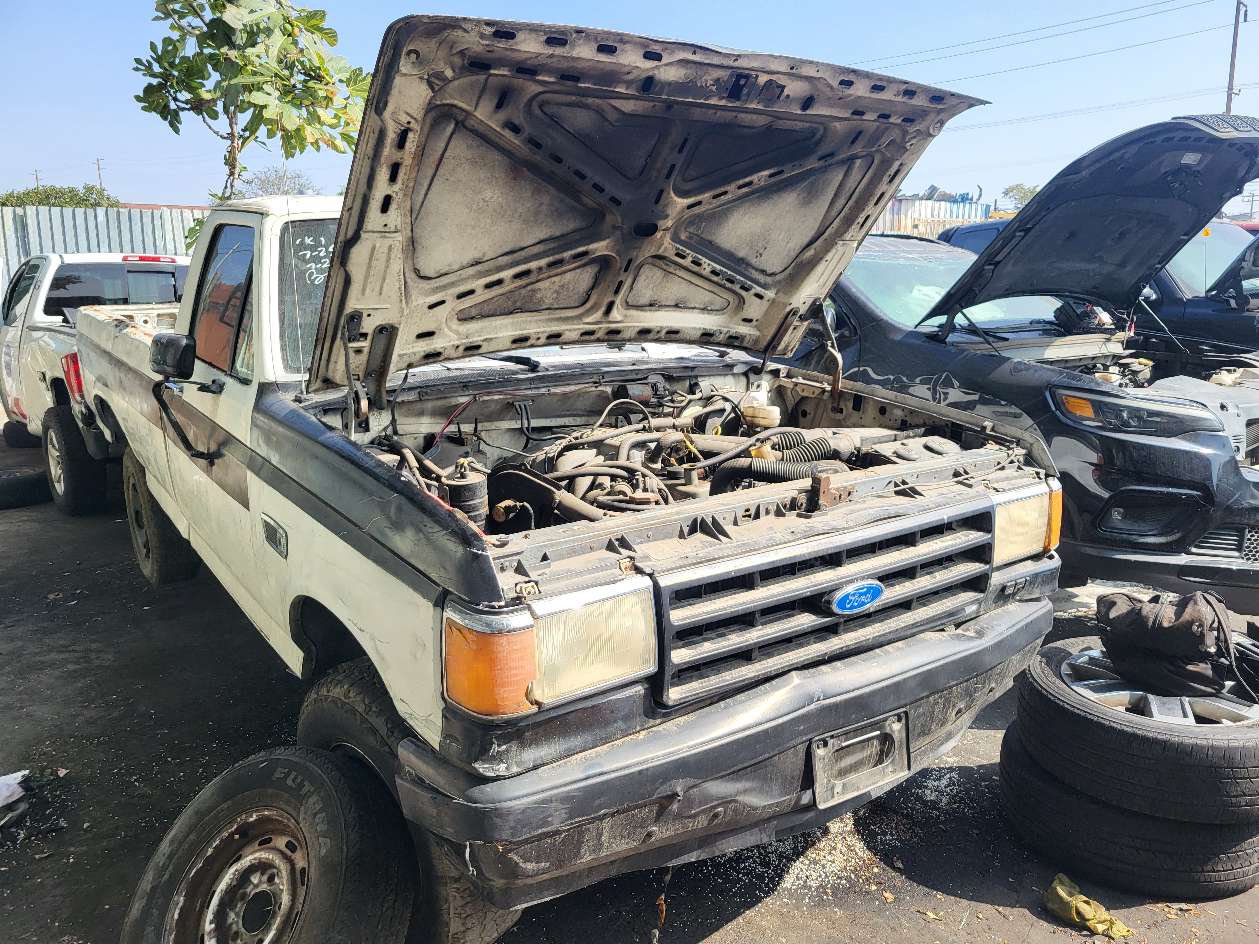 1989 FORD F-150