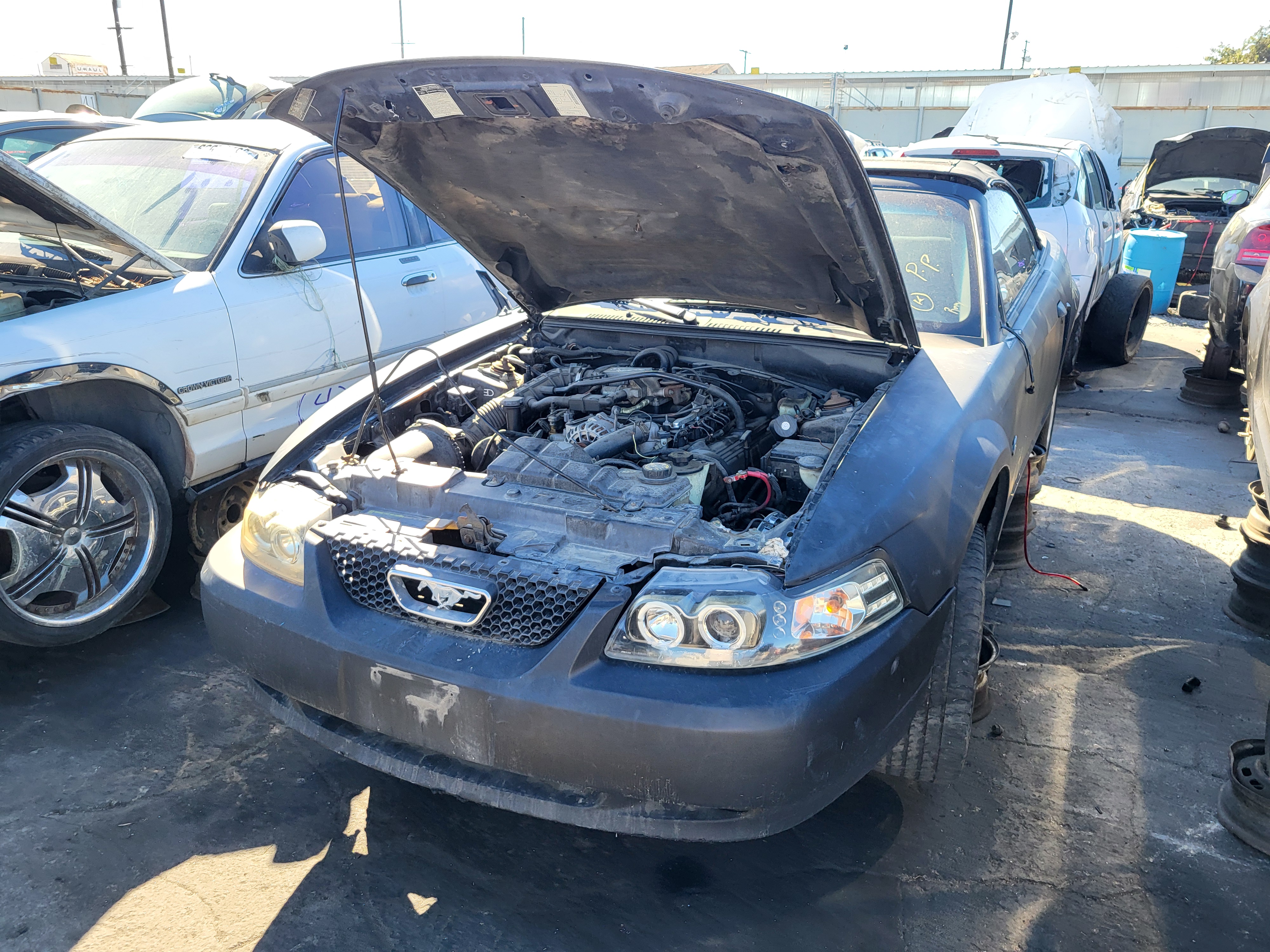 2000 FORD Mustang