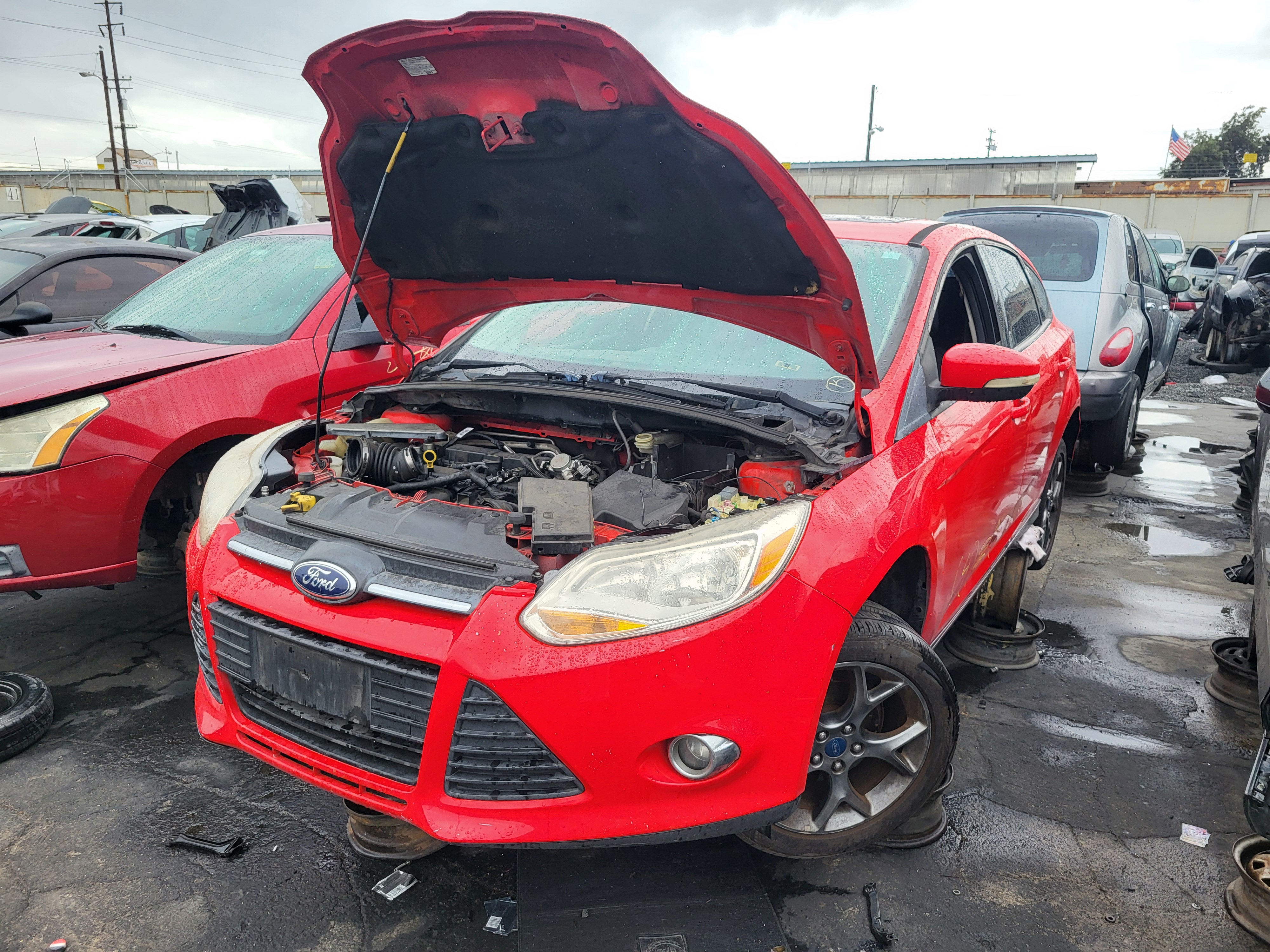 2013 FORD Focus