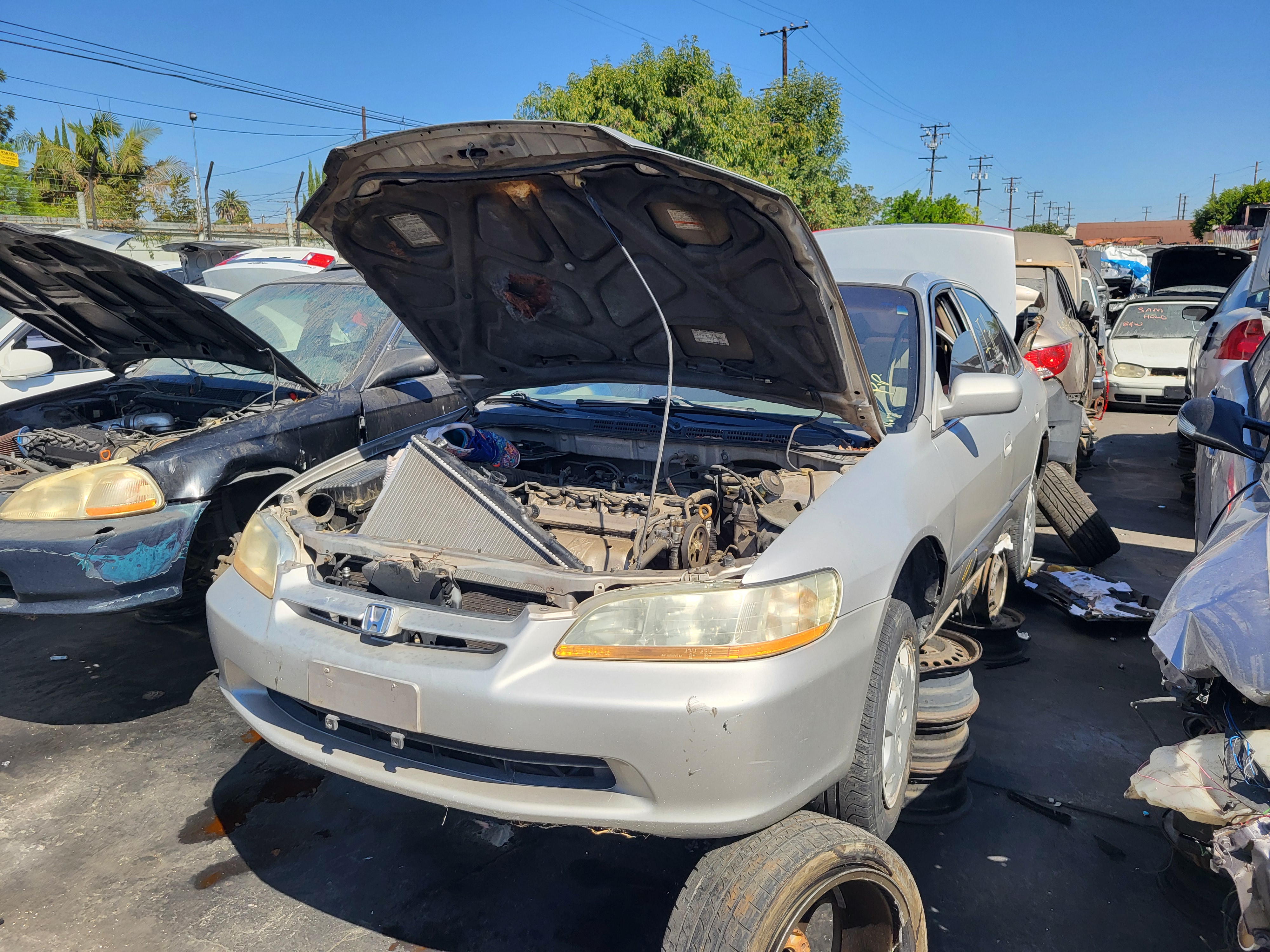 1998 HONDA Accord