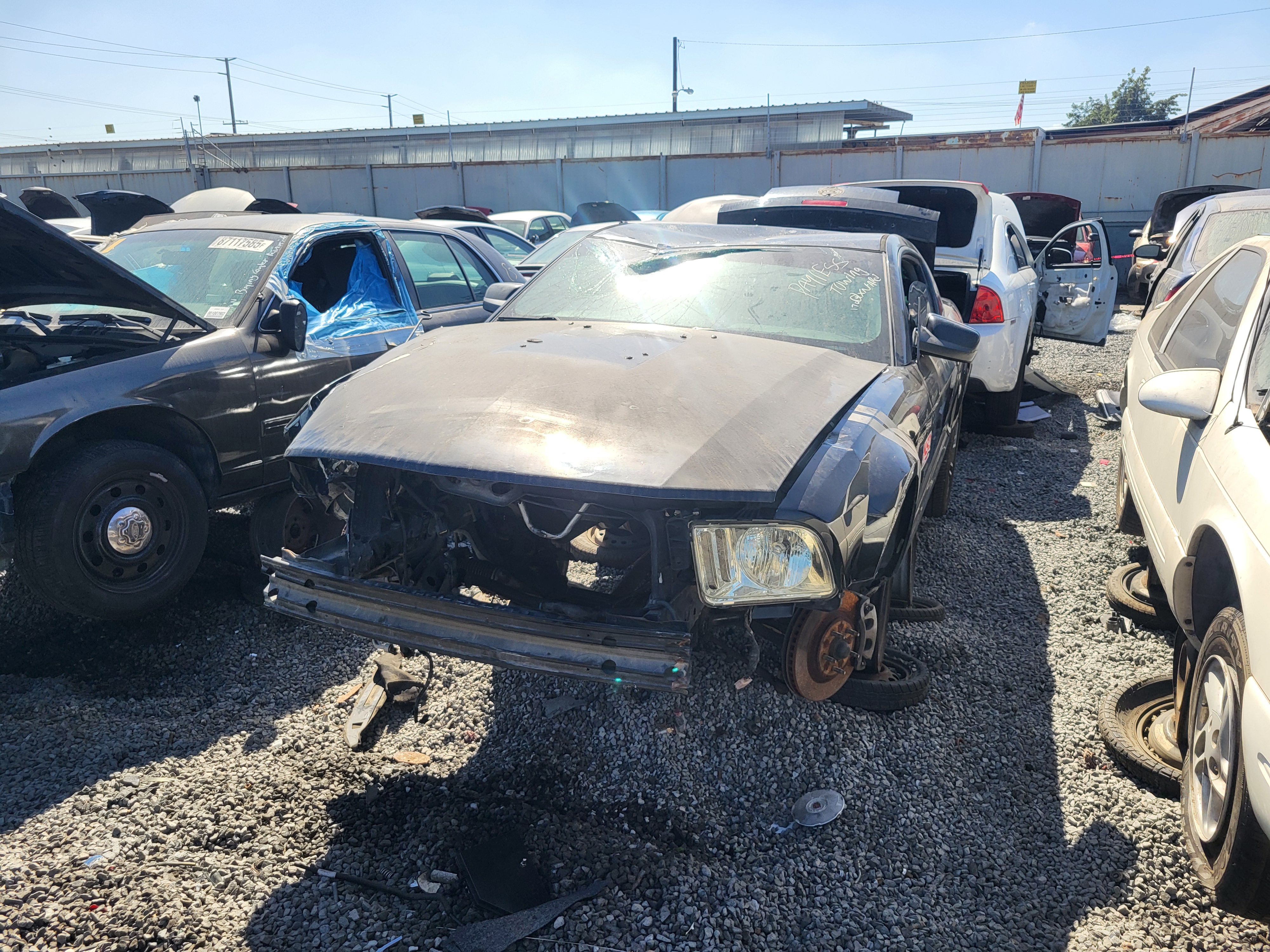 2005 FORD Mustang