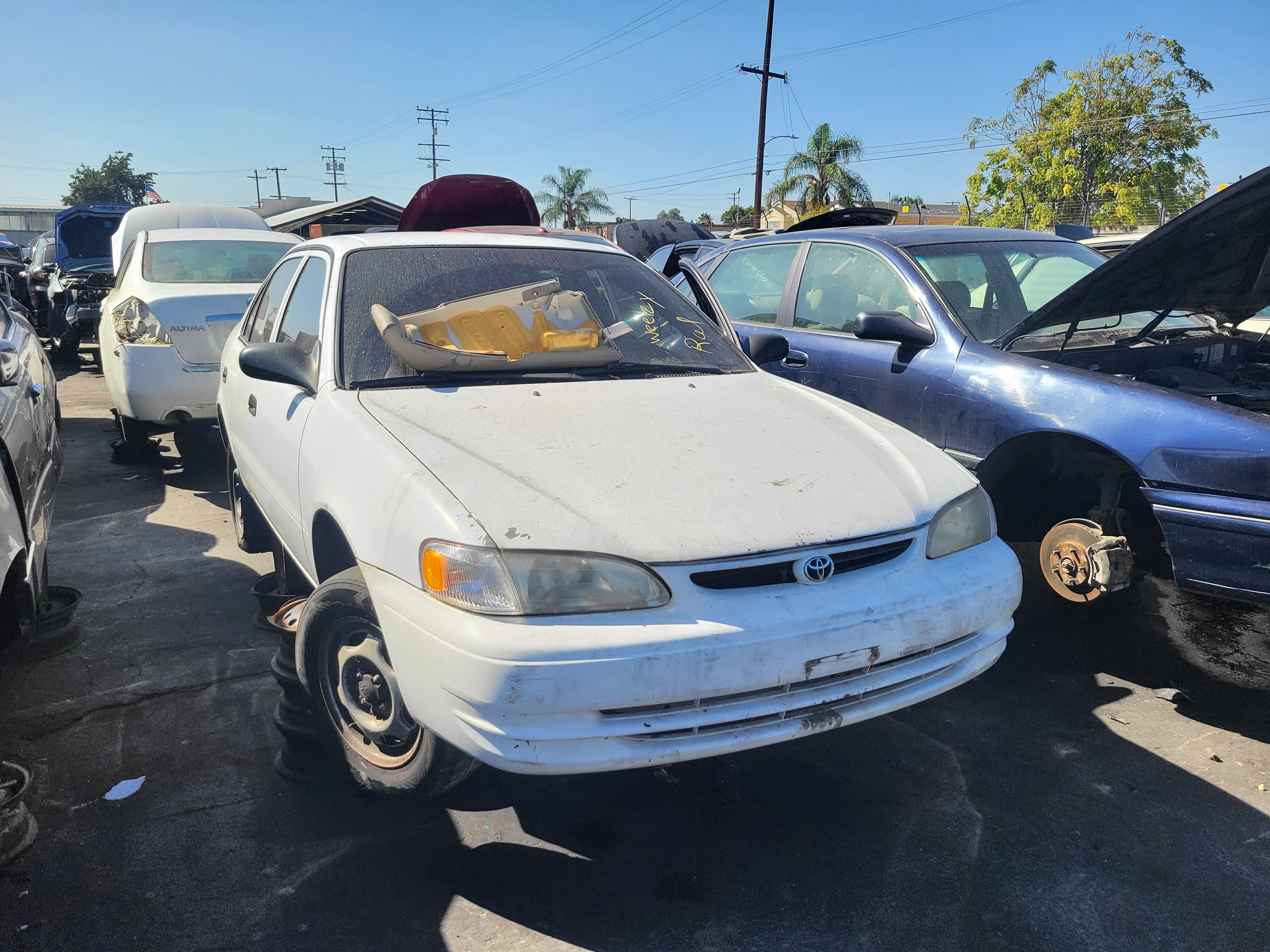 2000 TOYOTA Corolla