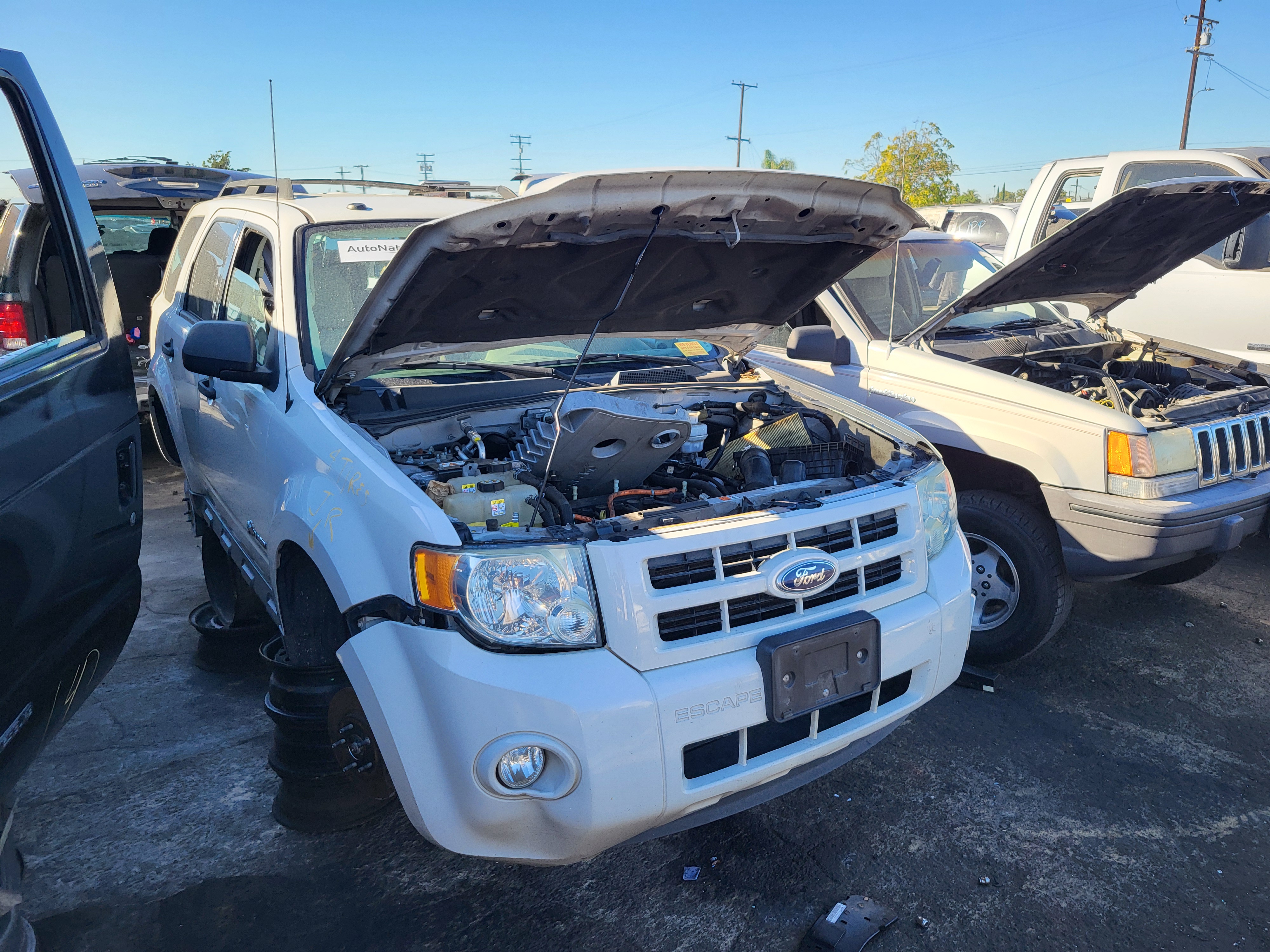 2010 FORD Escape