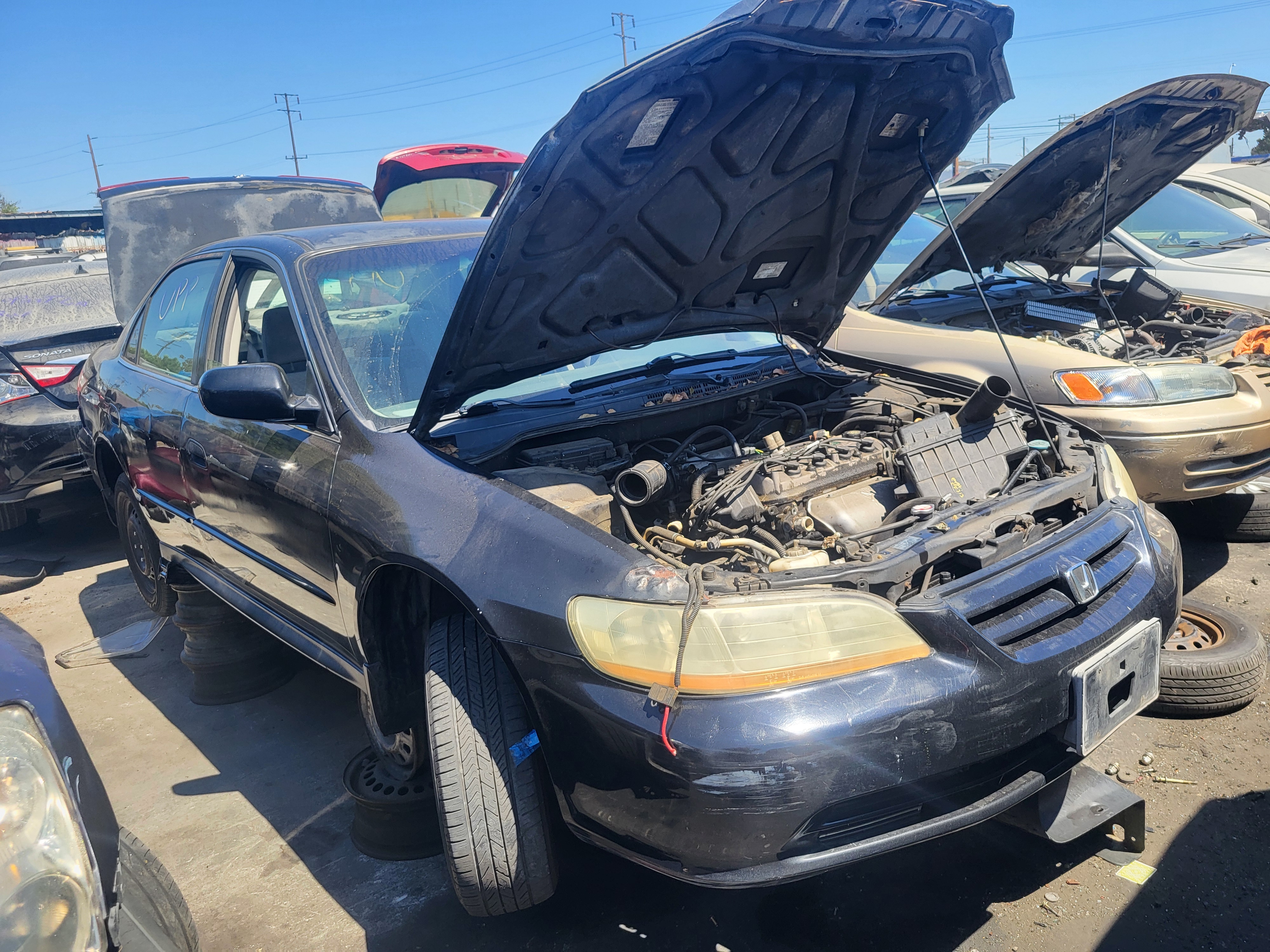 2001 HONDA Accord