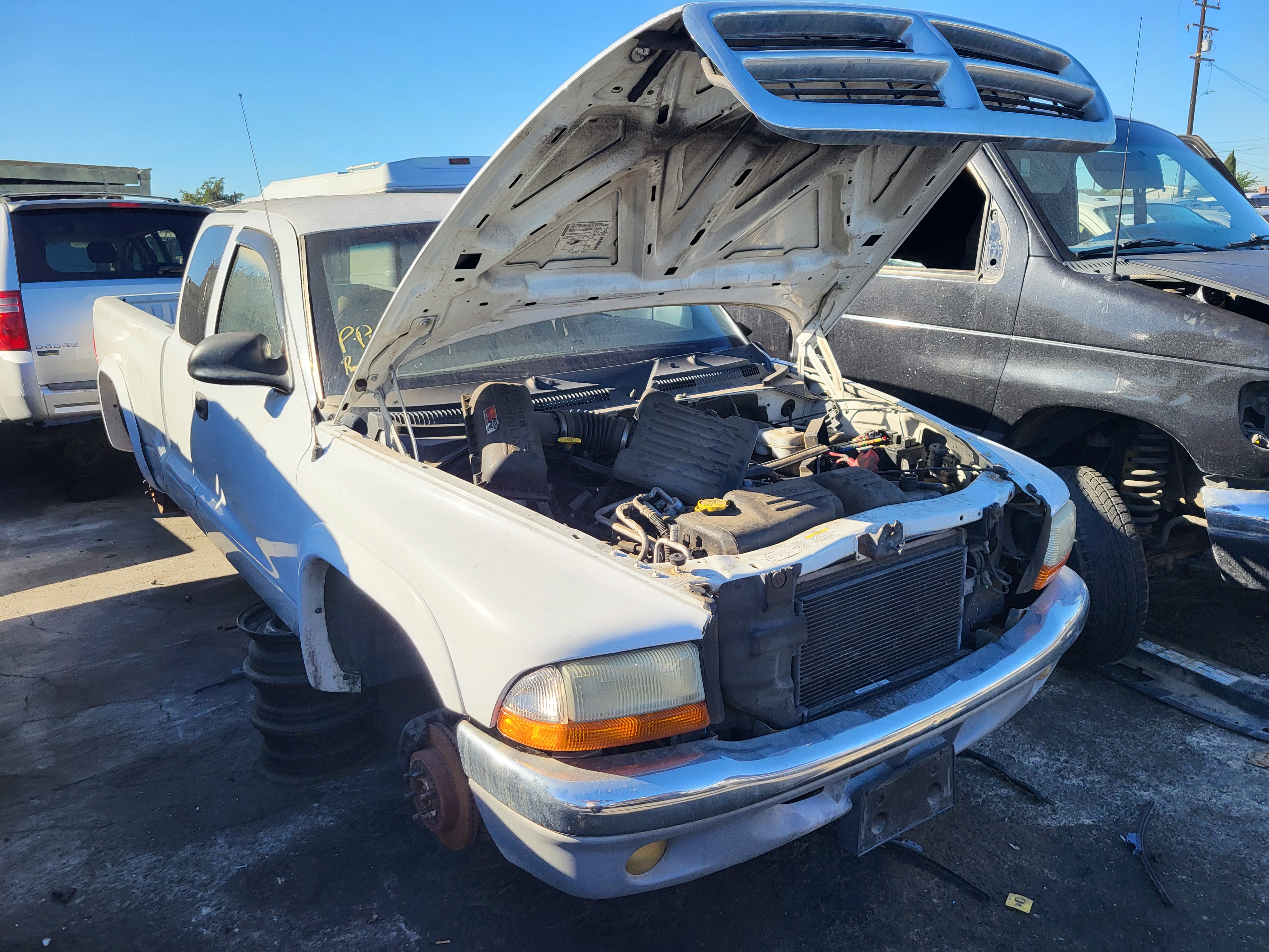 2003 DODGE Dakota