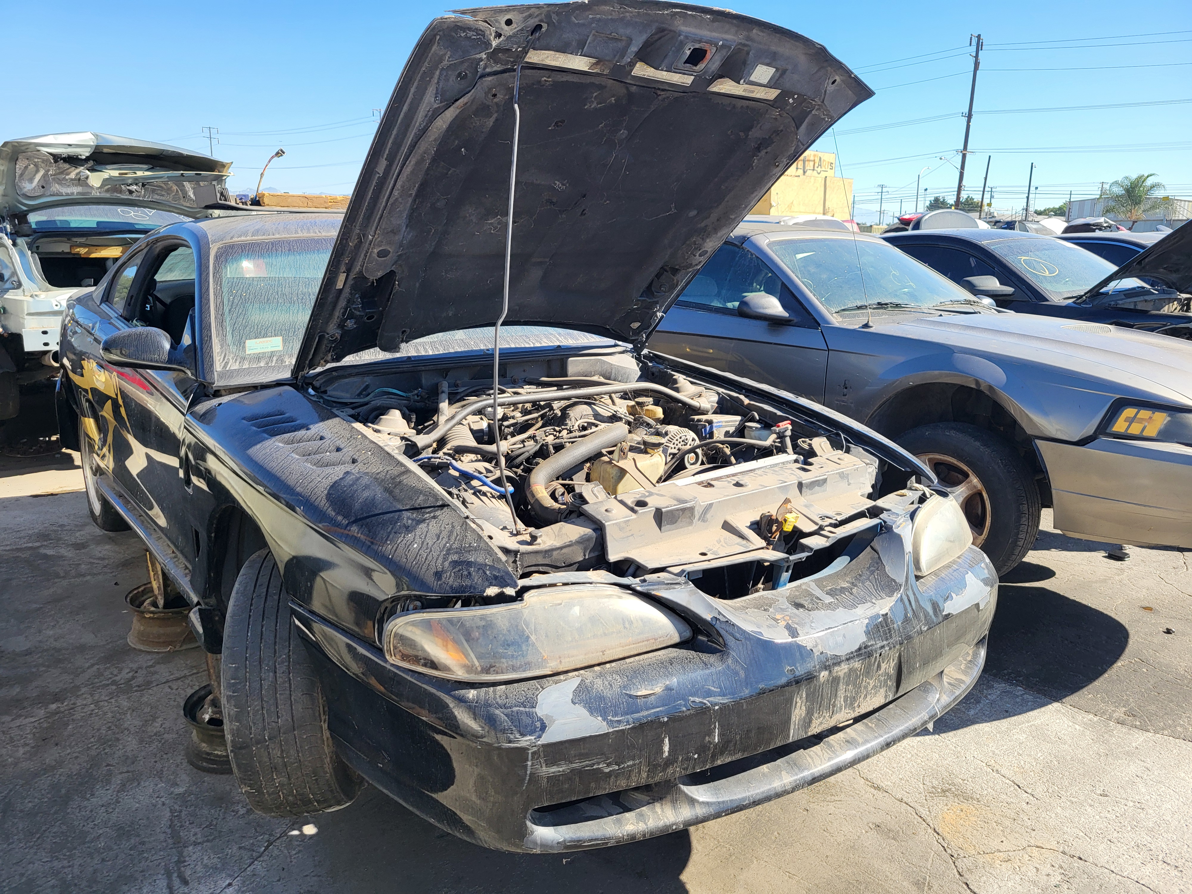 1998 FORD Mustang