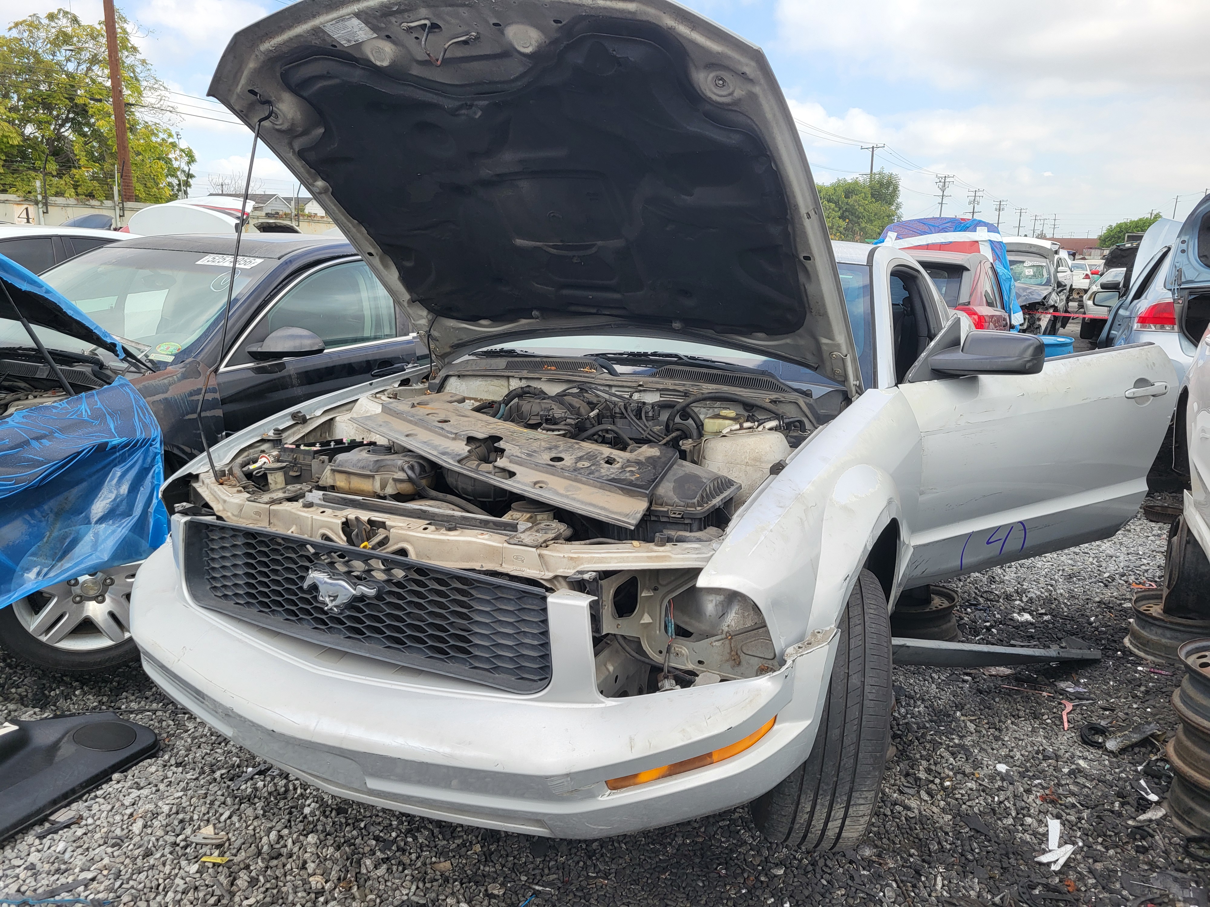 2005 FORD Mustang