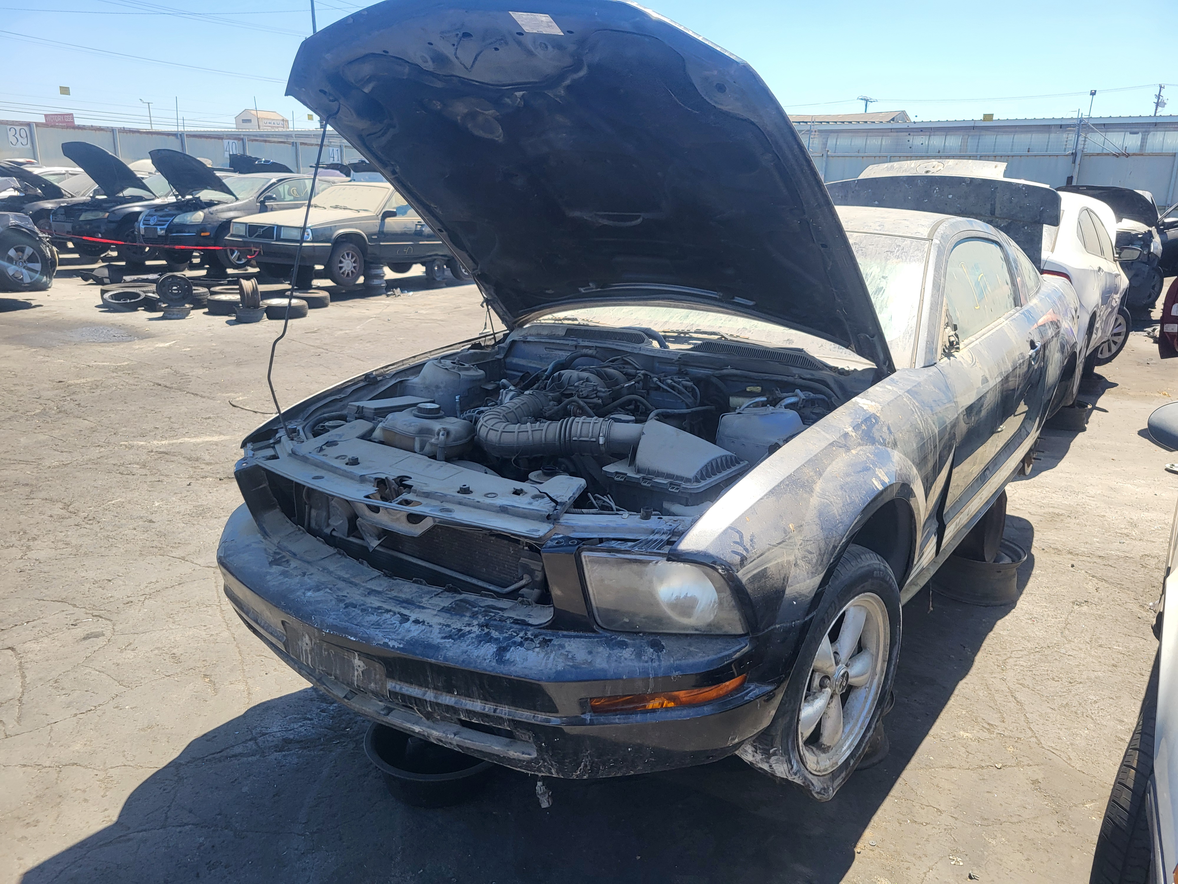 2007 FORD Mustang