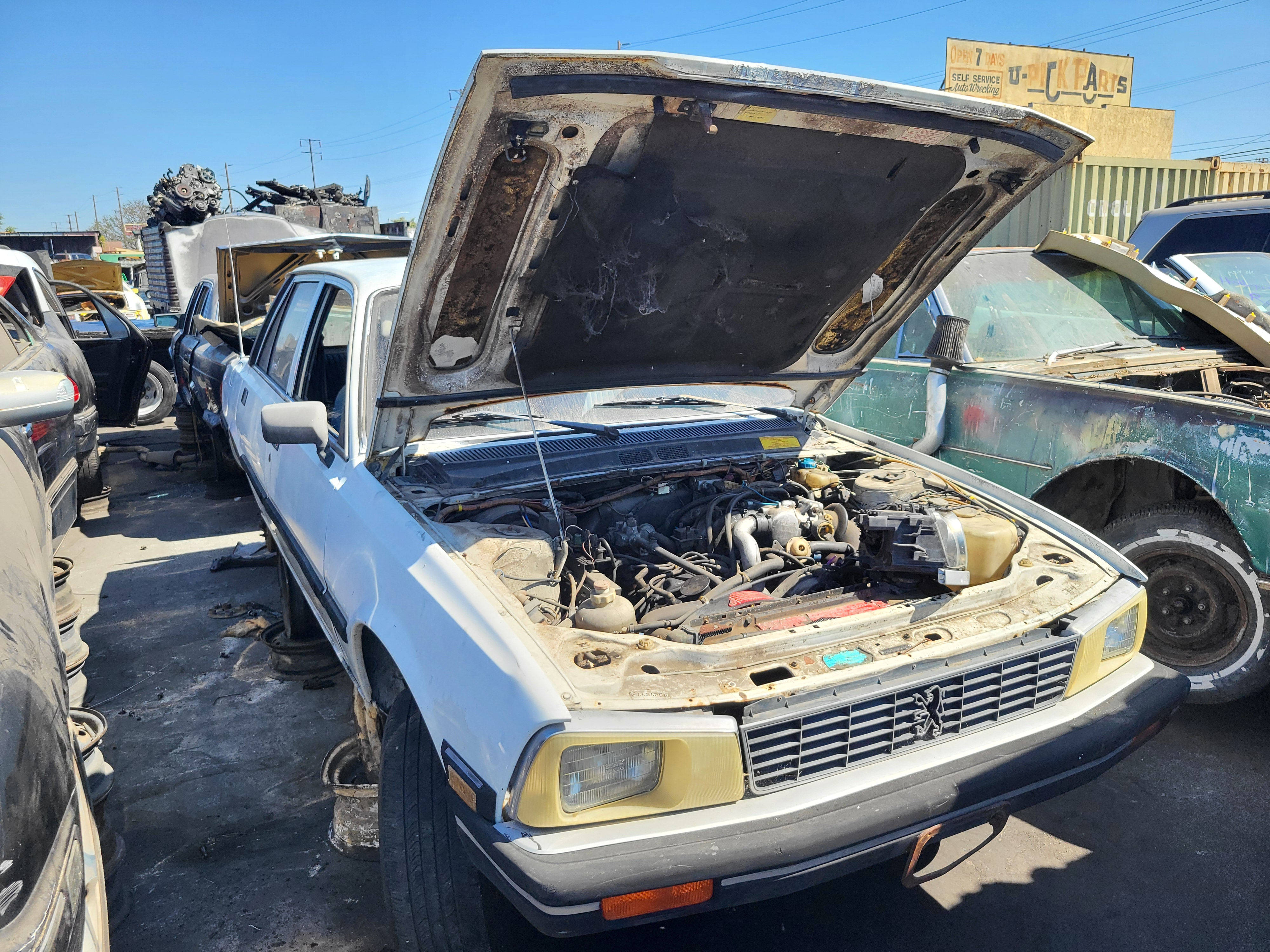 1984 PEUGEOT 505