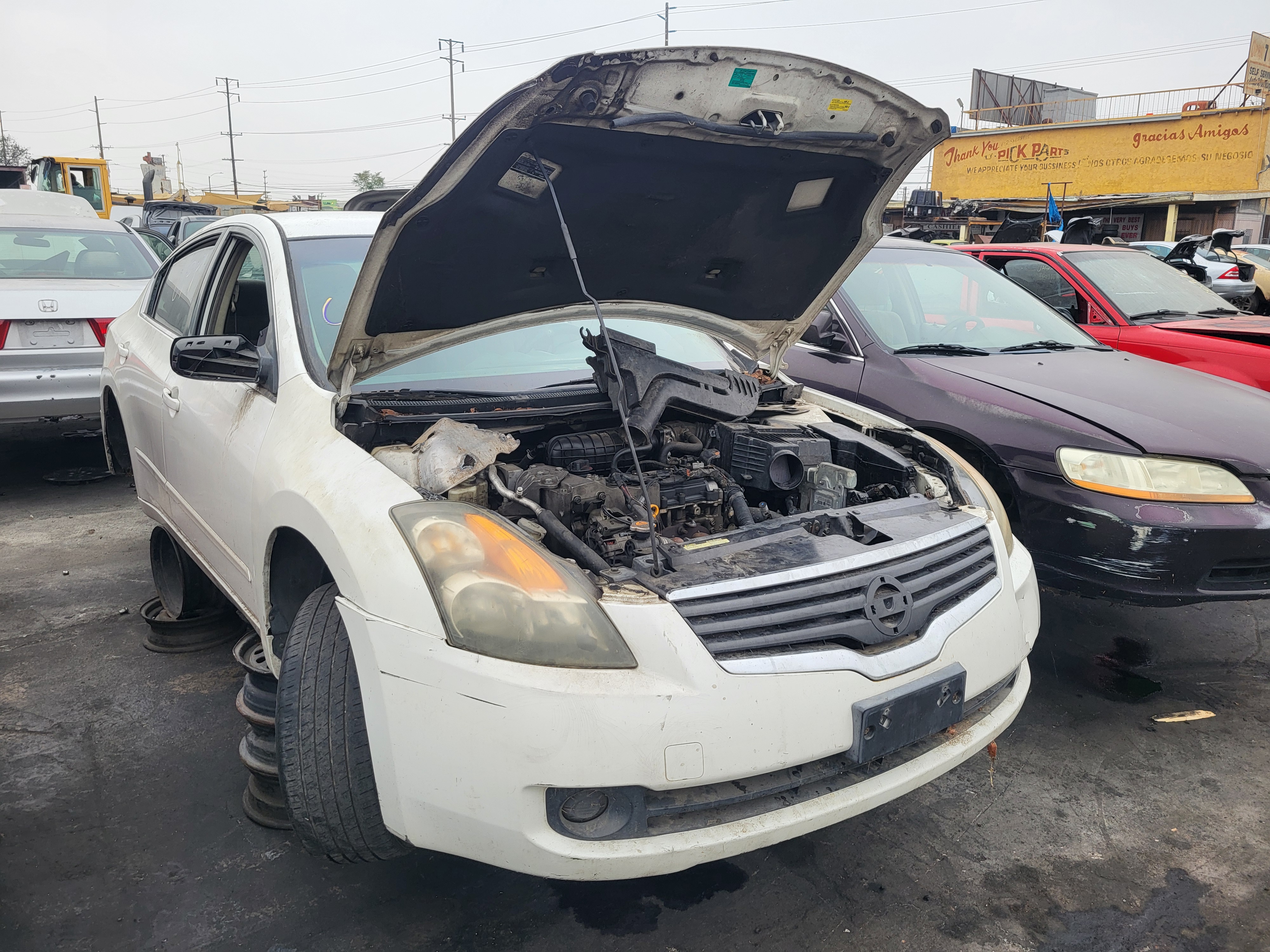 2009 NISSAN Altima