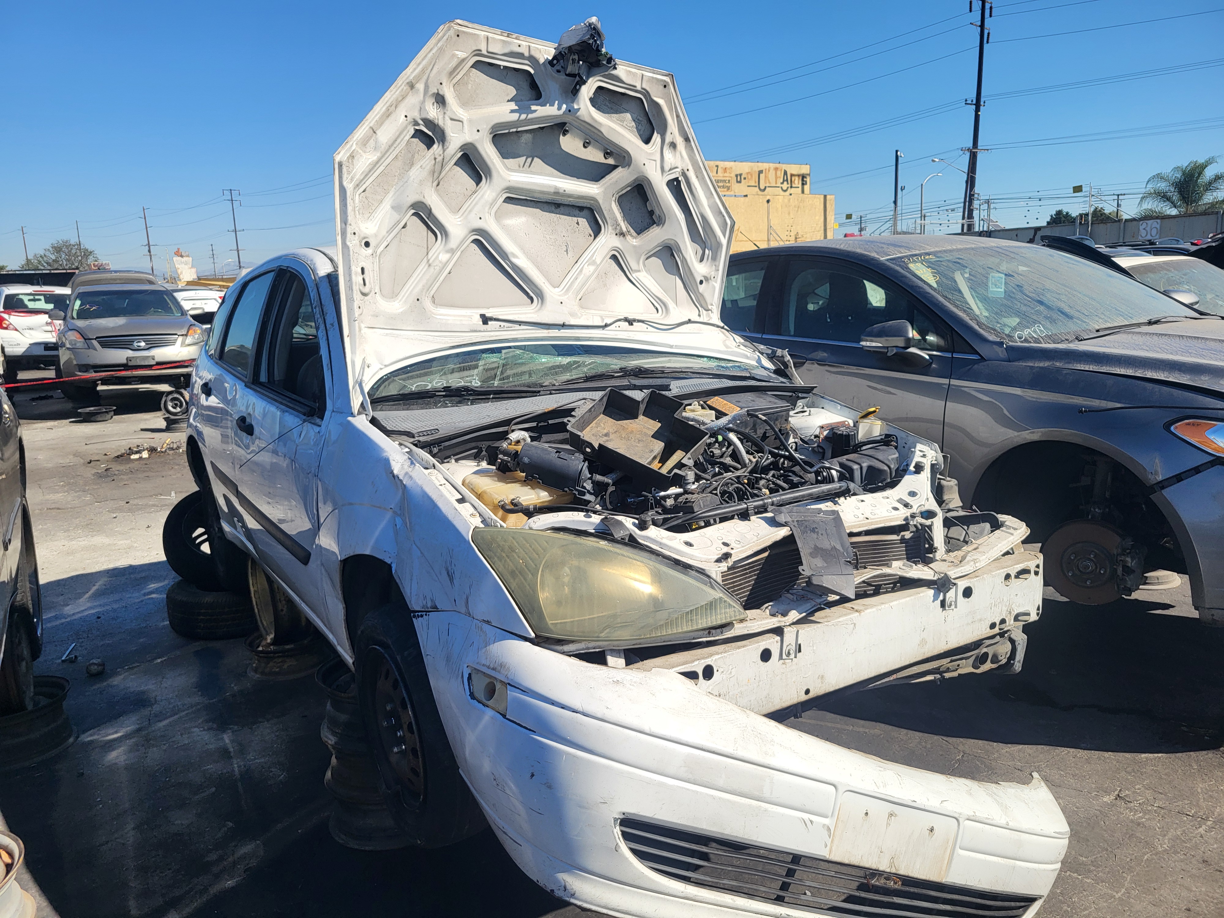 2004 FORD Focus