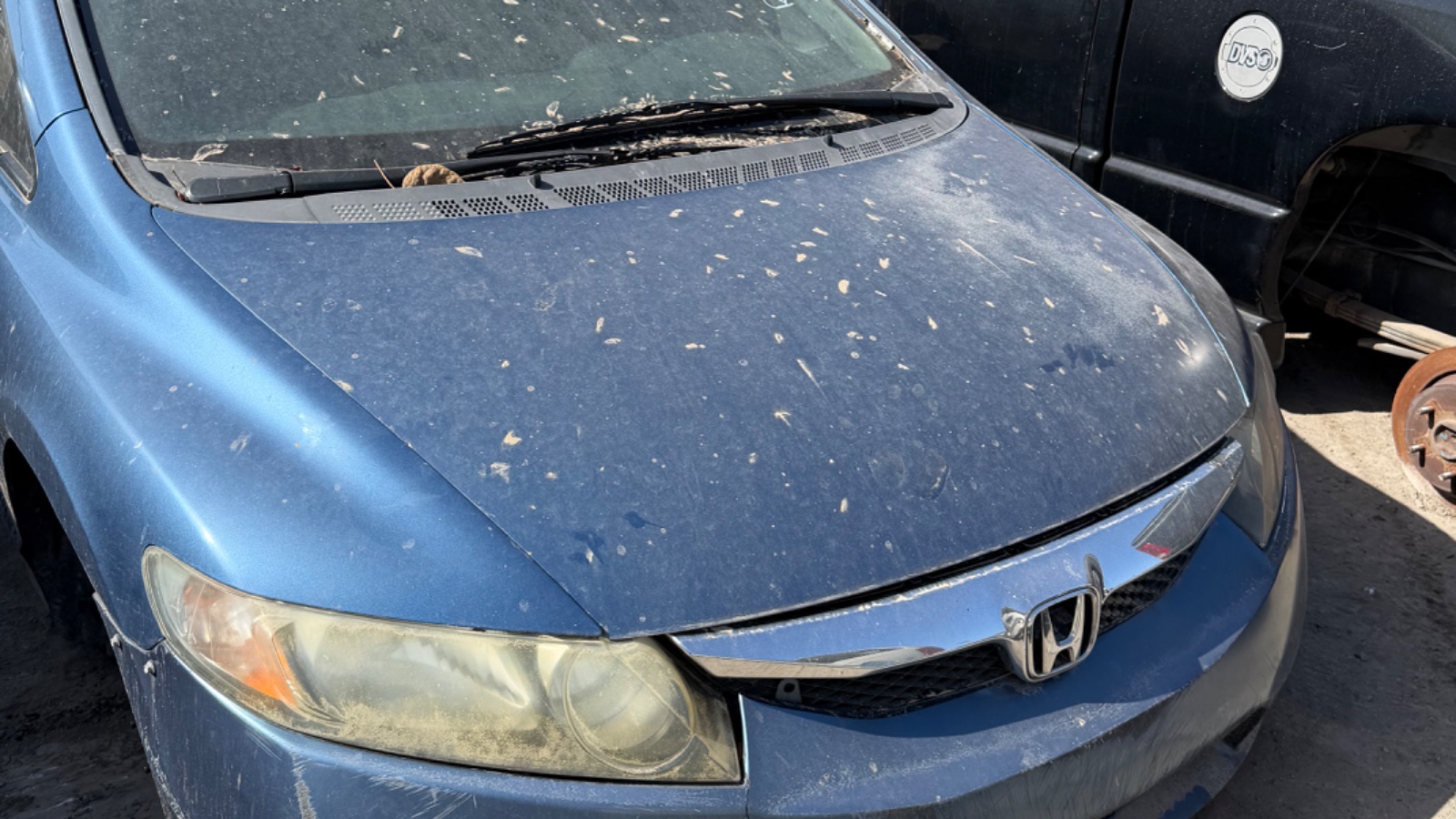 2010 HONDA Civic