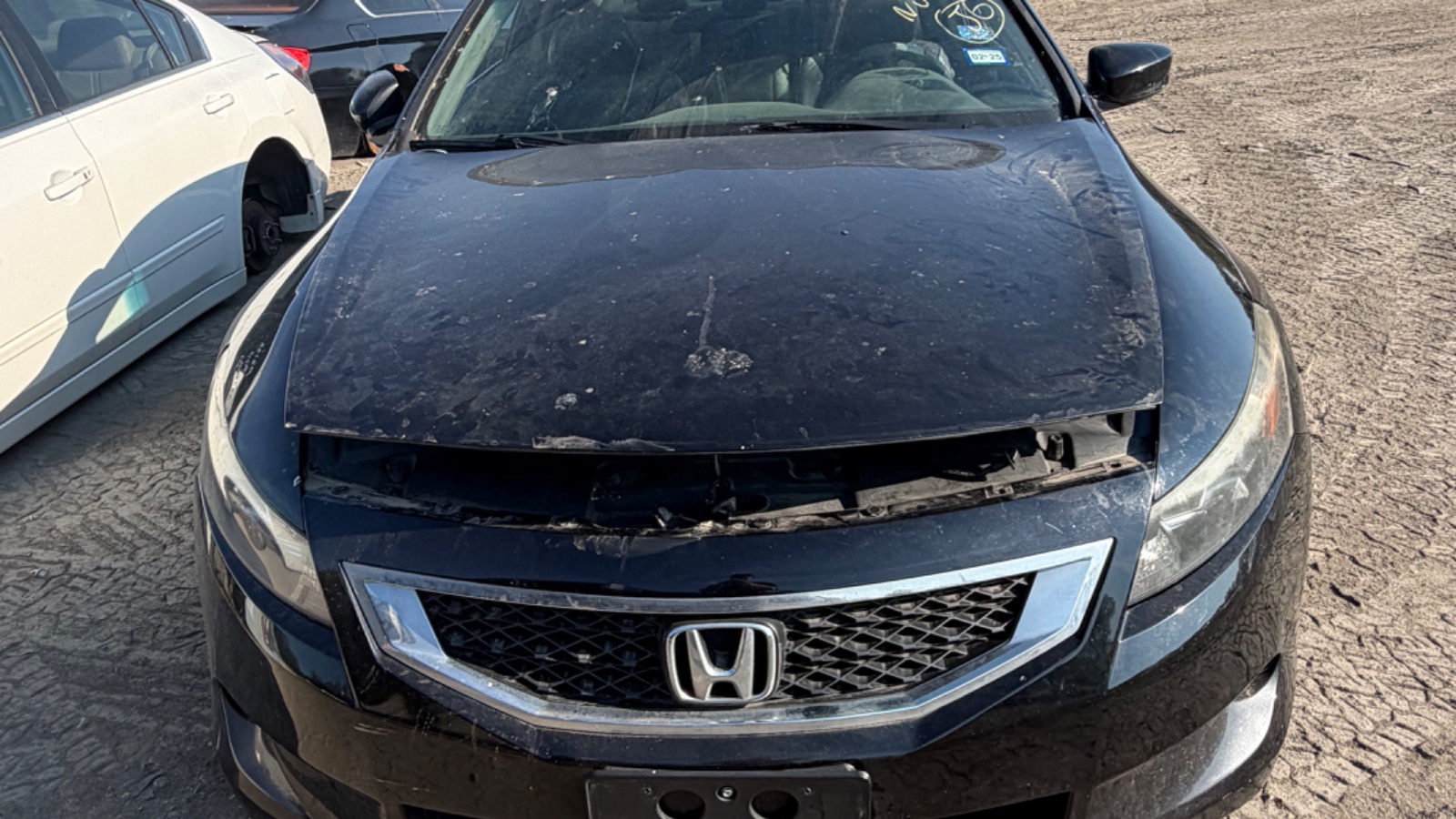 2009 HONDA Accord